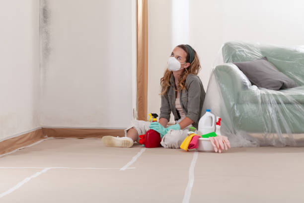 Reliable Black Mold Remediation contractor in Silverdale, WA by Car Mold Remediation